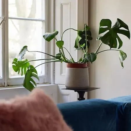 Germaine Greer'S Legacy Flat In Hyde Park, Central Лондон Экстерьер фото